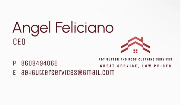 A&Y Gutter And Roof Cleaning Services