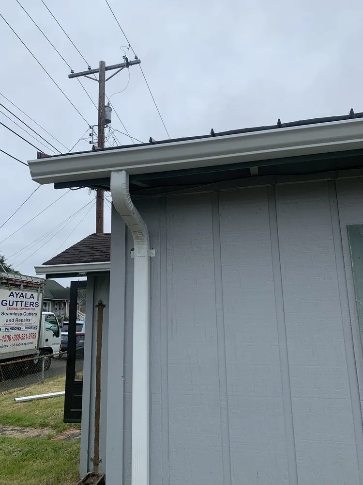 Slide of Ayala Gutters