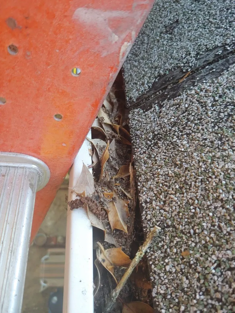 Slide of Ayala Gutters