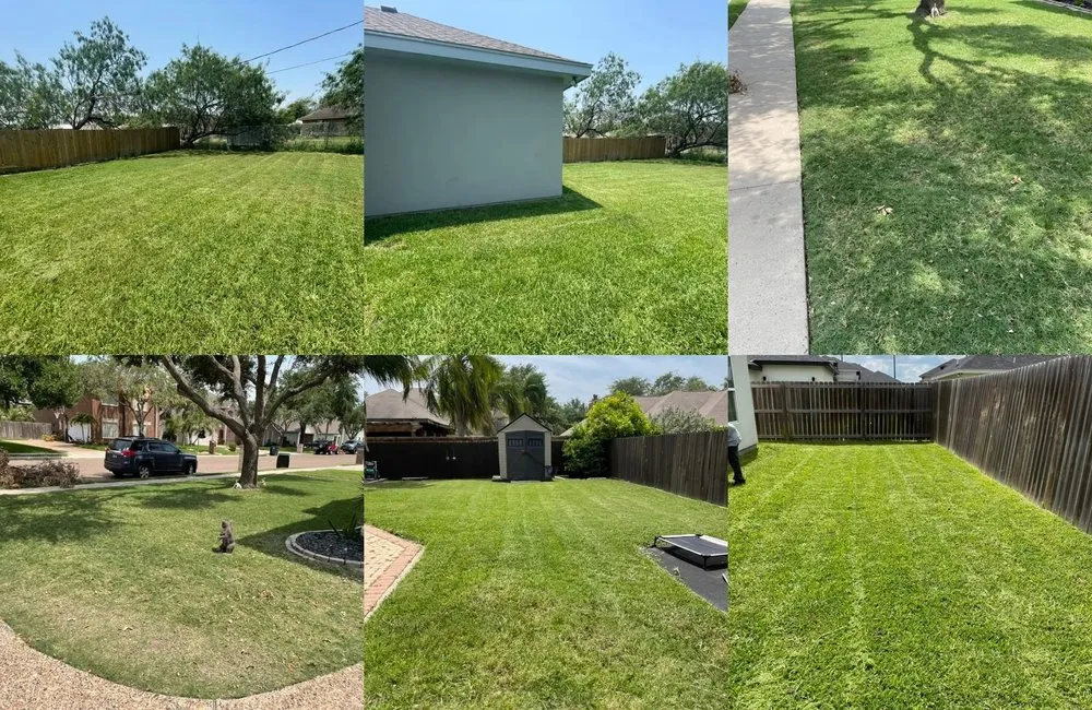 Slide of Ayala Lawn & Home Services
