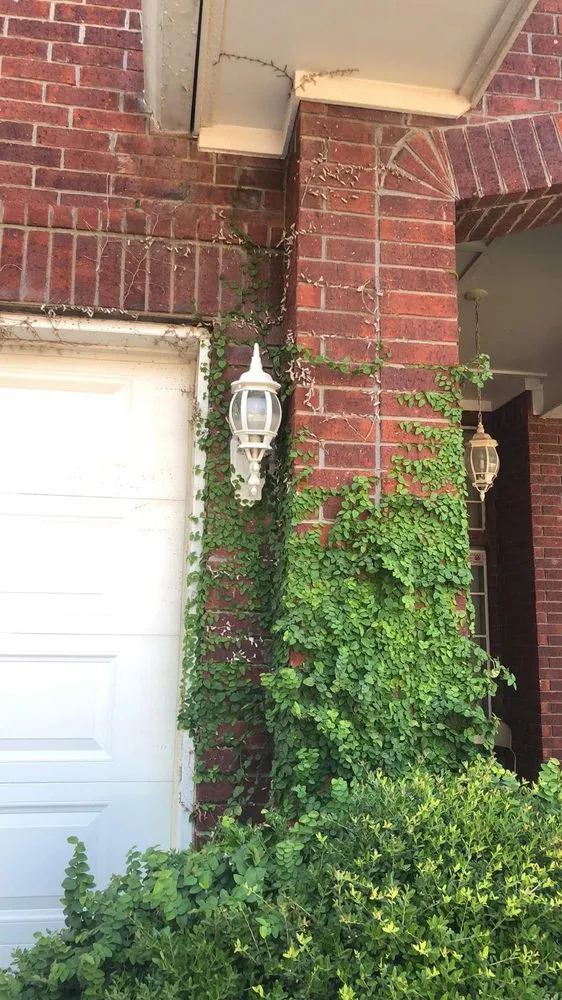 Slide of Ayala Lawn & Home Services