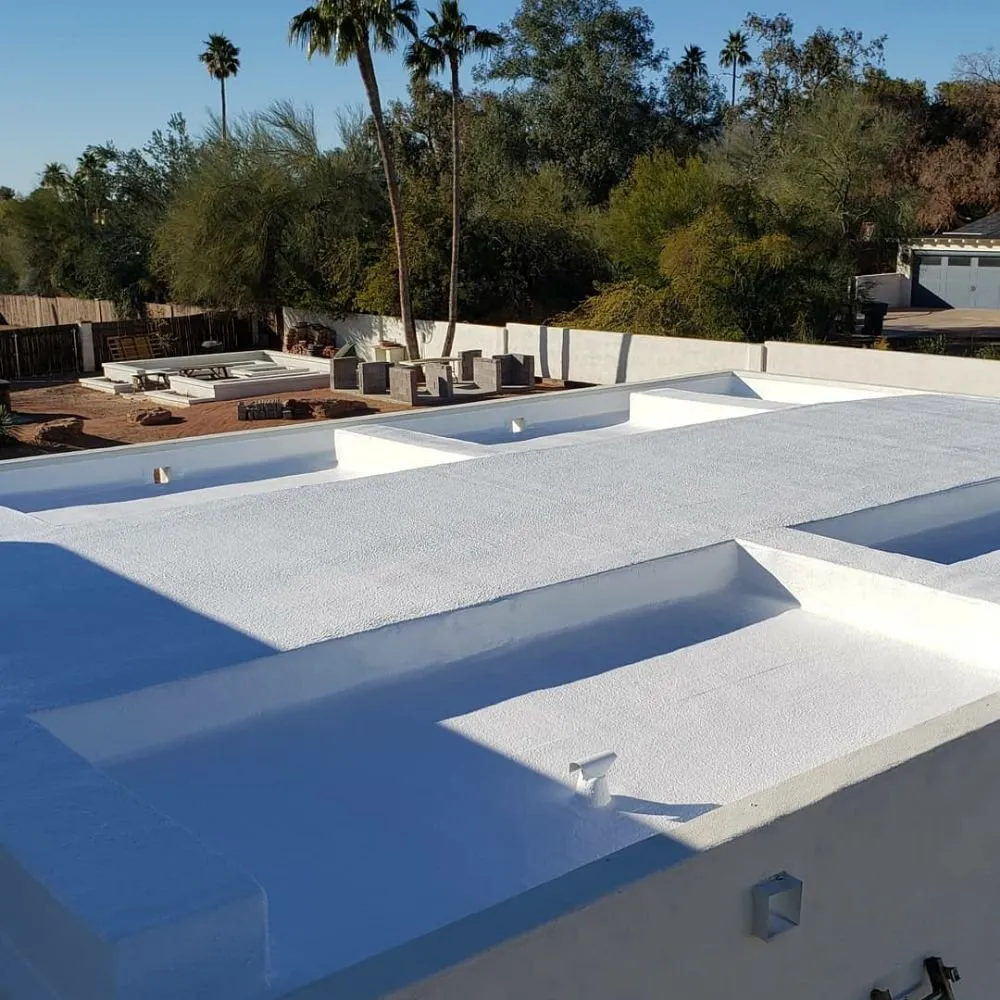 Slide of AZ Foam Masters