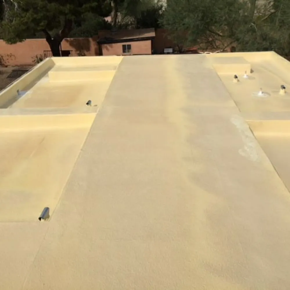 Slide of AZ Foam Masters