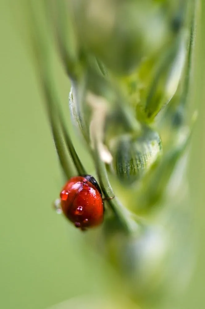 Slide of Az Stay Dry Roofing