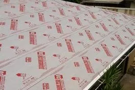 Slide of Aztec Roofs