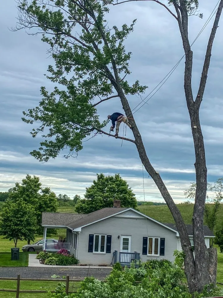 Slide of B & B Exterior Services