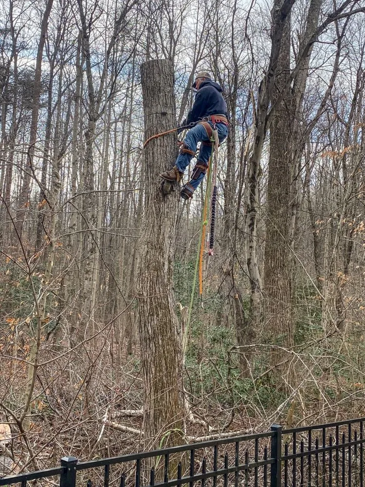 Slide of B & B Exterior Services