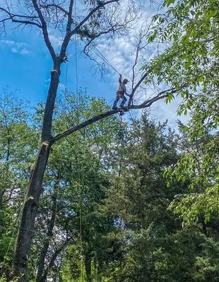 B & B Exterior Services Logo