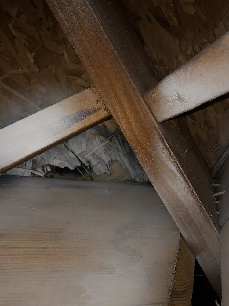 Slide of B & F Roofing