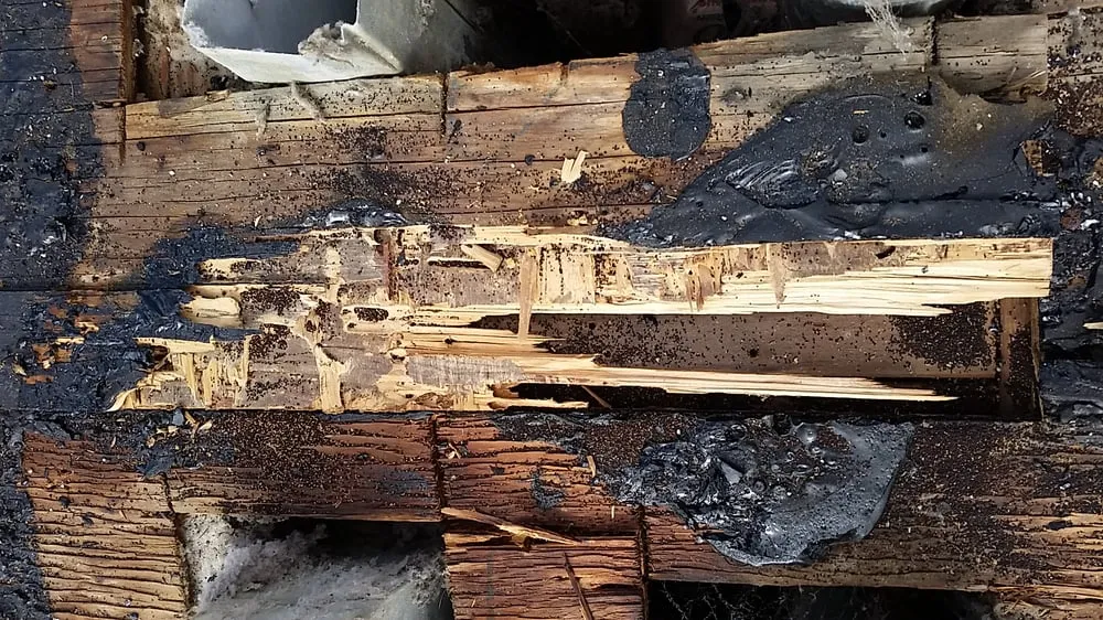 Slide of B & G Roofing