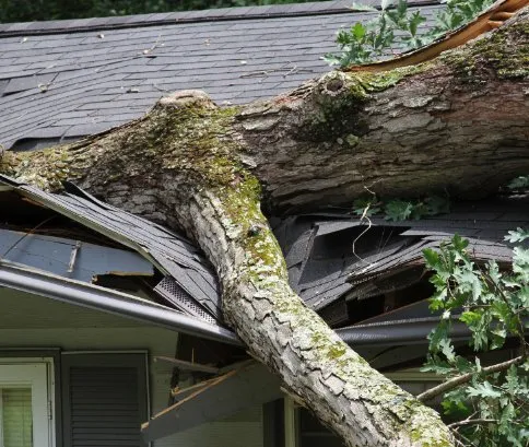 Slide of B & H Roofing