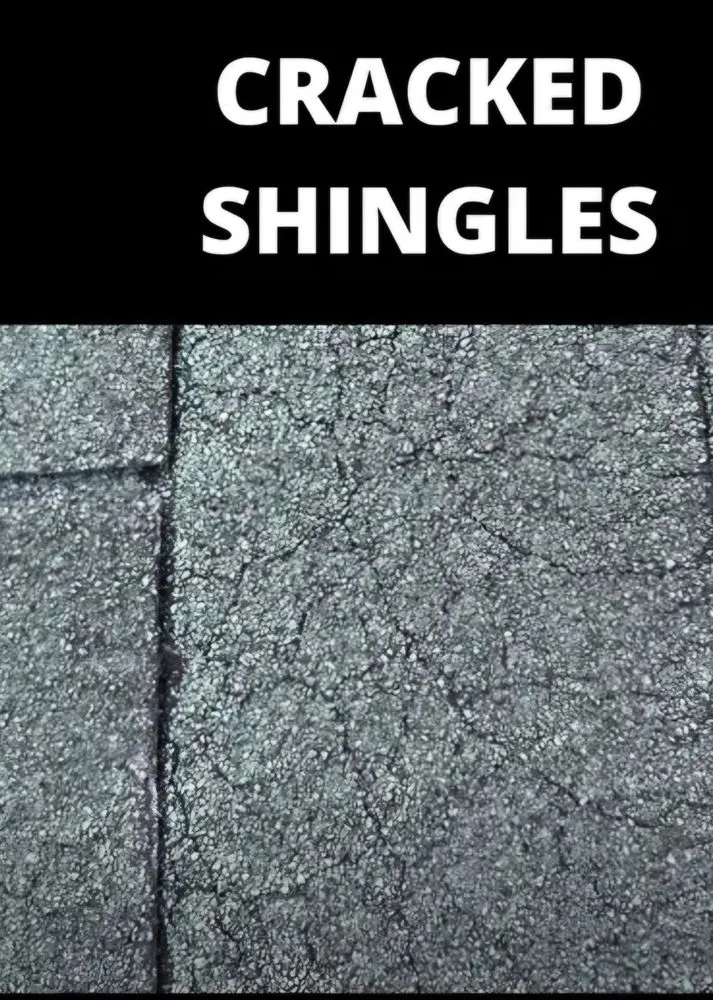 Slide of B Ramirez Construction