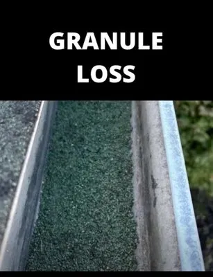 B Ramirez Construction Logo