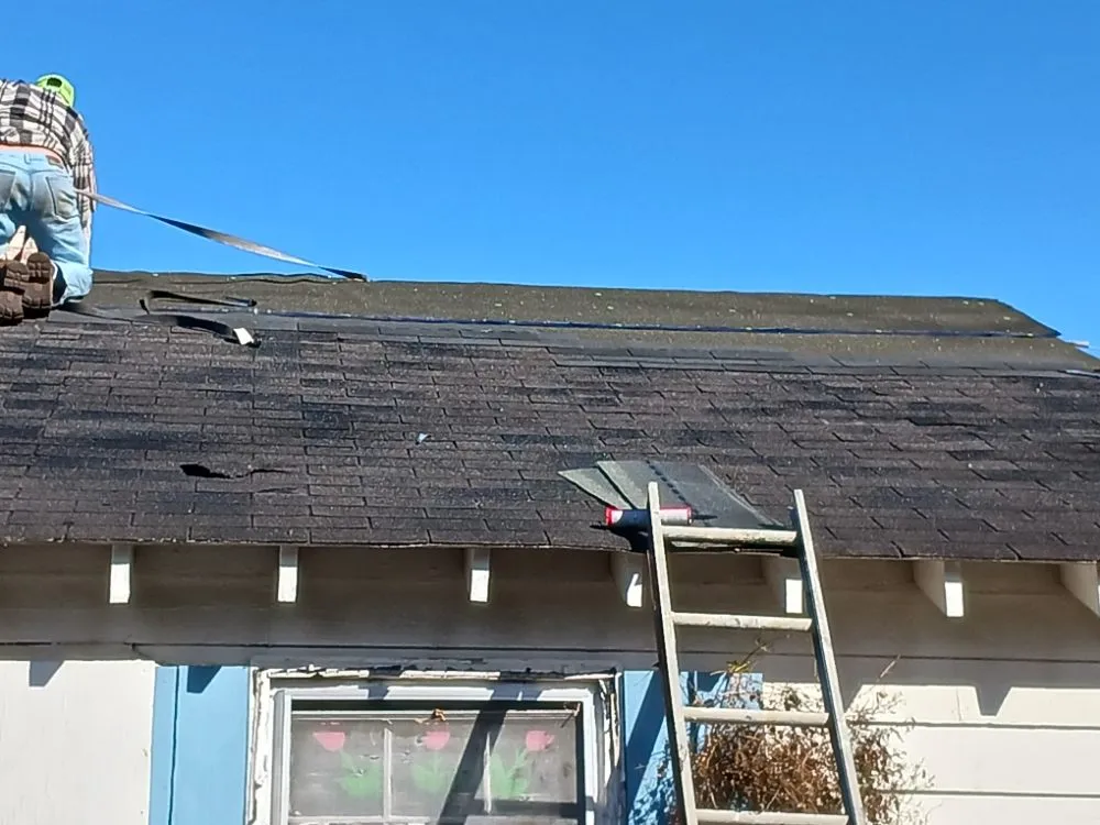 Emergency storm damage roof repair experts serving Pink Hill, NC - B to Z Home Services