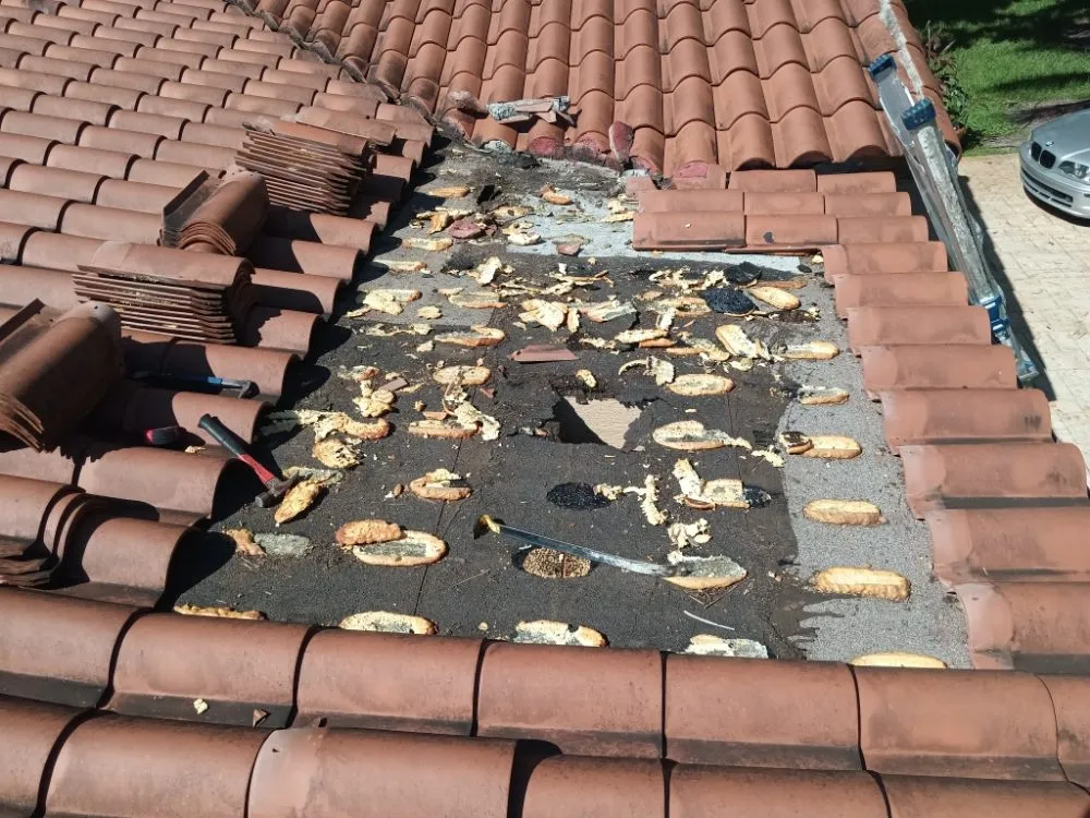 Slide of Babel Roof Repairs