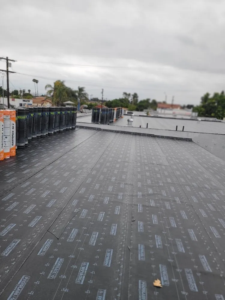Slide of Baby's Roofing