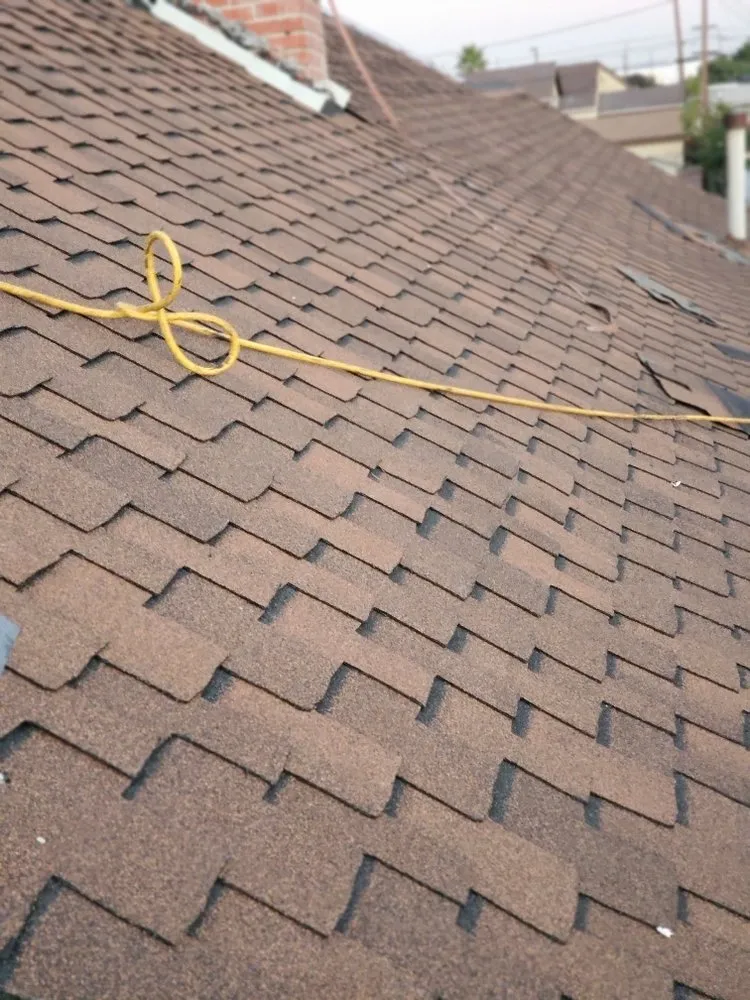 Slide of Baby's Roofing