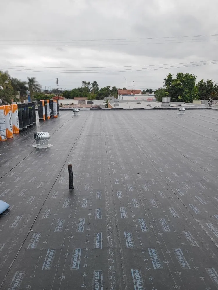 Slide of Baby's Roofing