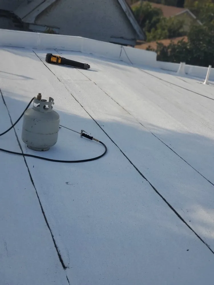 Slide of Baby's Roofing