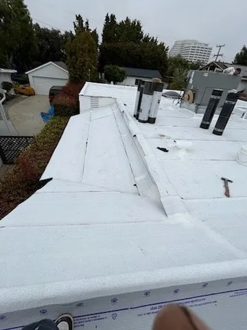 Slide of Baby's Roofing