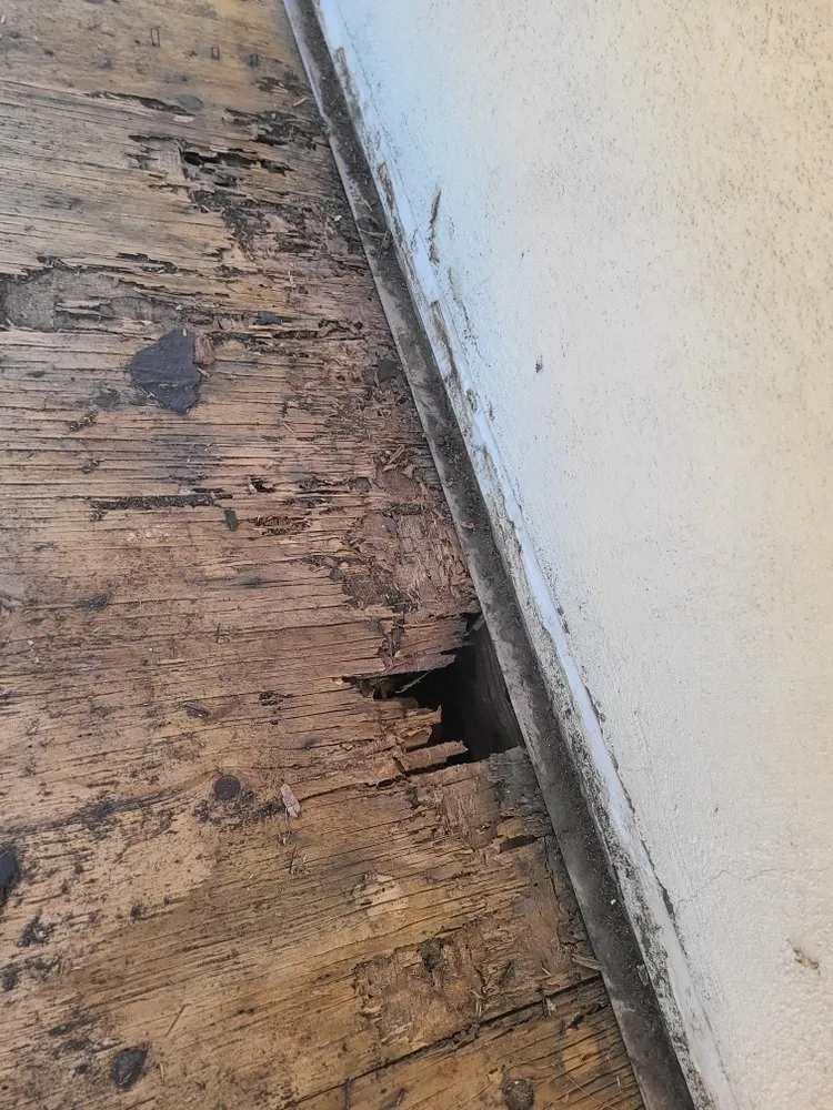 Slide of Baby's Roofing