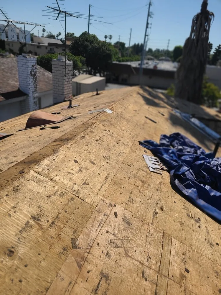 Slide of Baby's Roofing