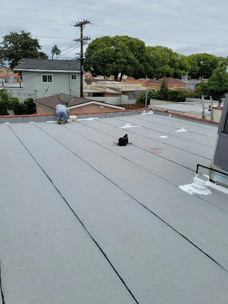 Slide of Baby's Roofing