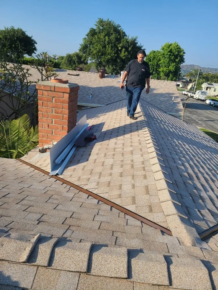 Slide of Baby's Roofing