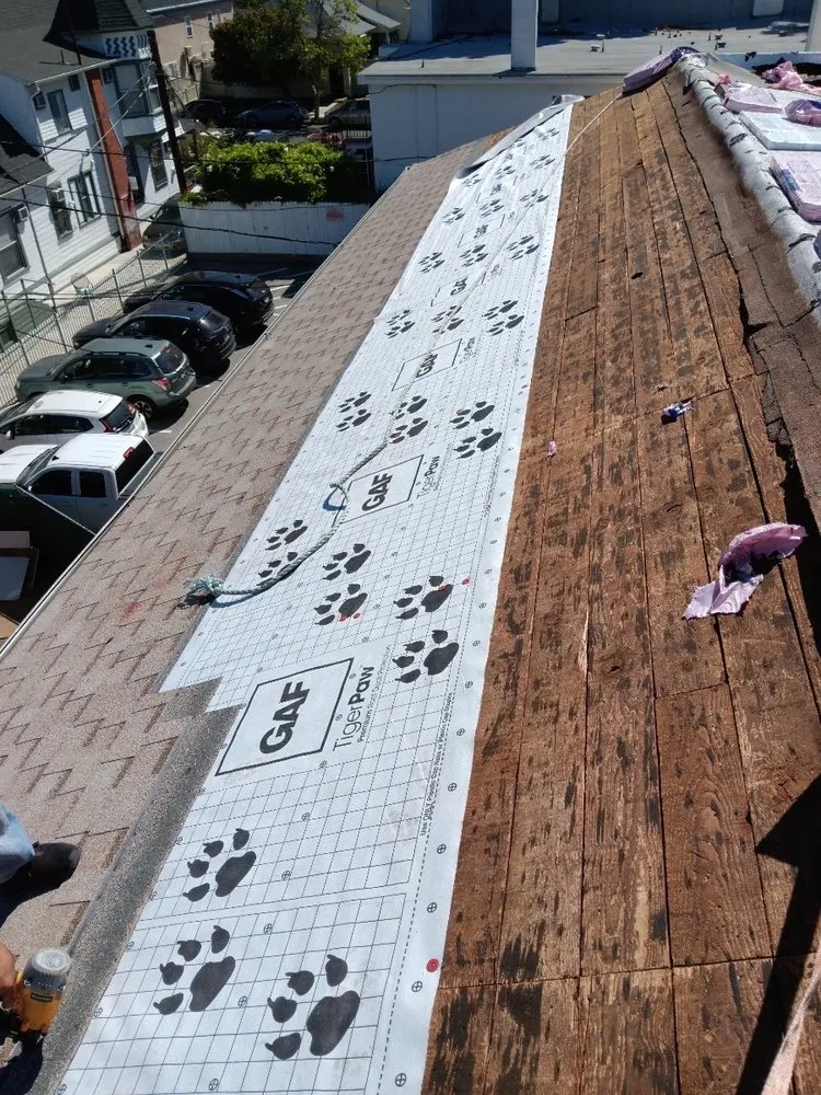 Slide of Baby's Roofing