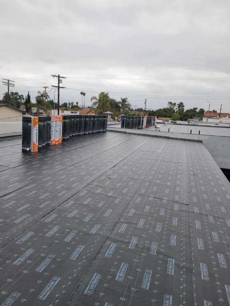 Slide of Baby's Roofing