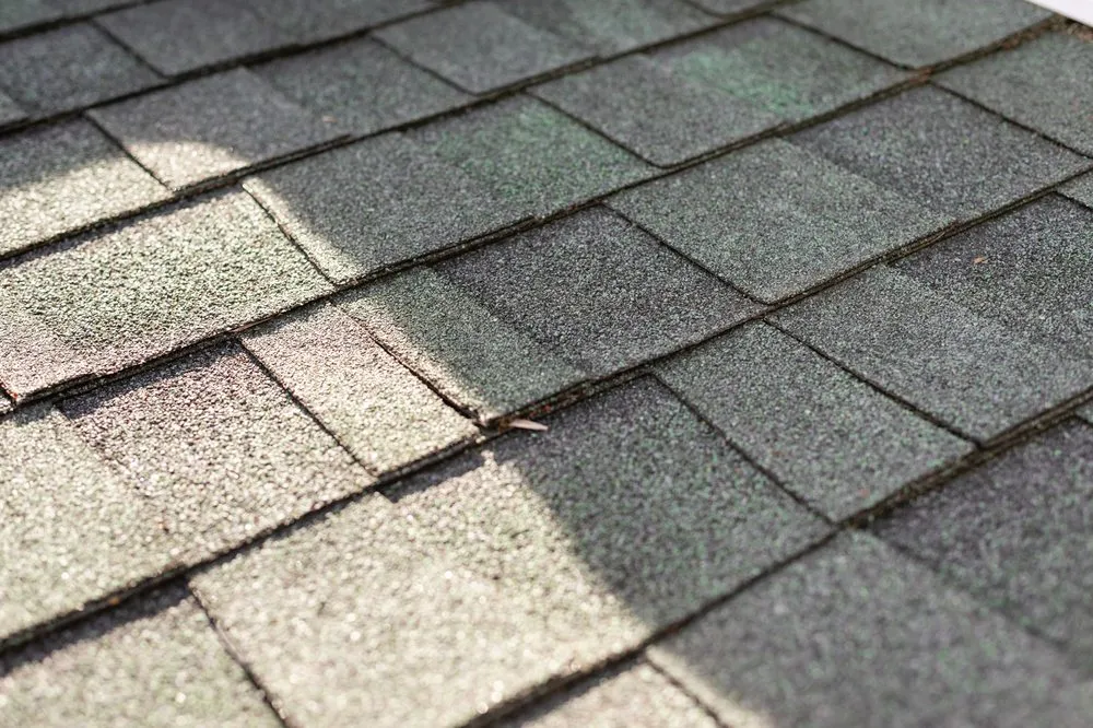 Slide of Back To Normal Construction