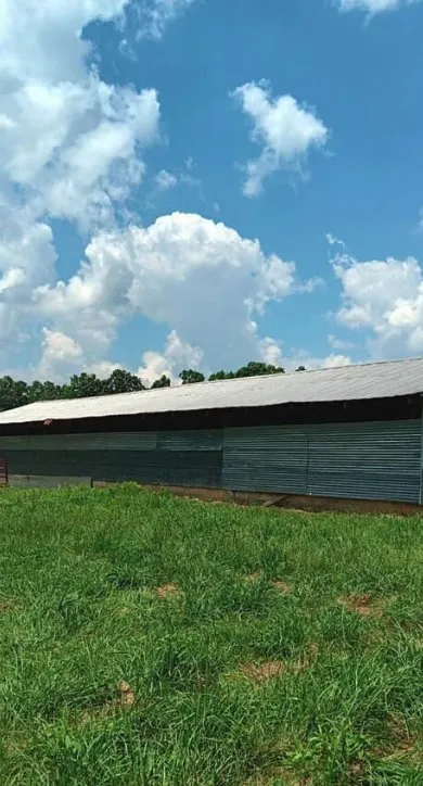 Slide of Backwoods Roofing