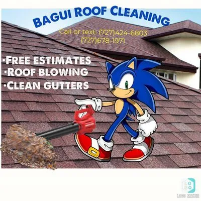 Bagui Roof Cleaning Logo