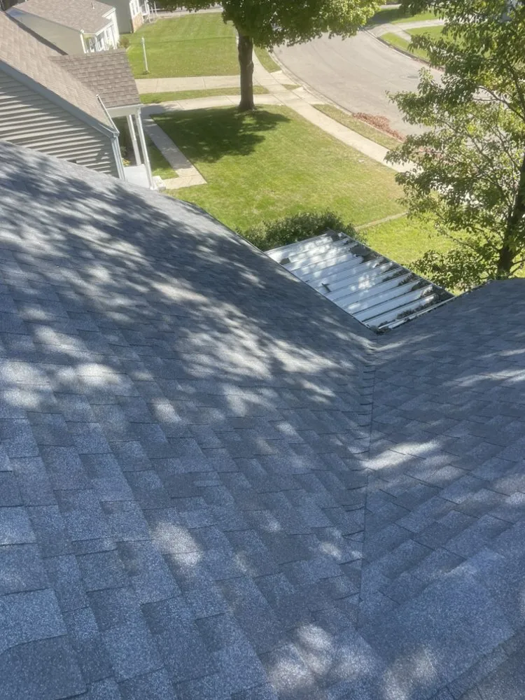 Slide of Bailey Solutions