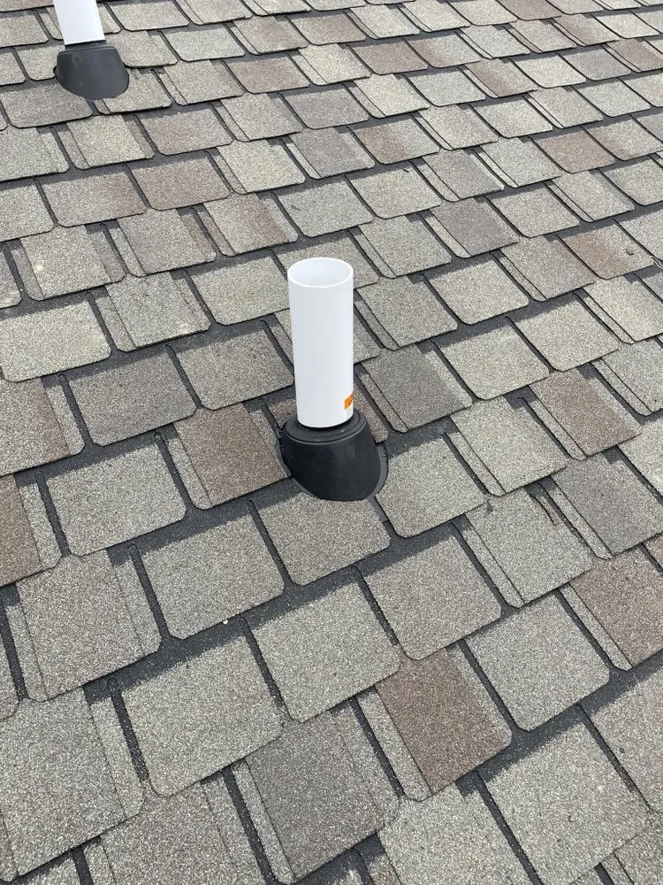 Slide of Bailey Solutions