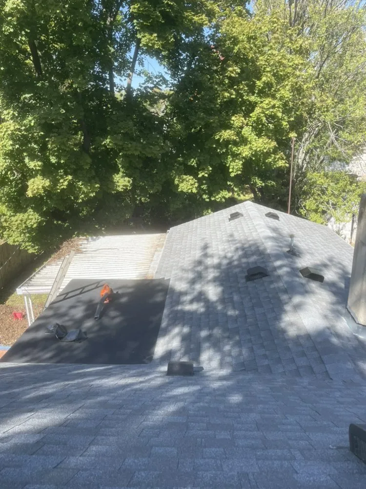 Slide of Bailey Solutions