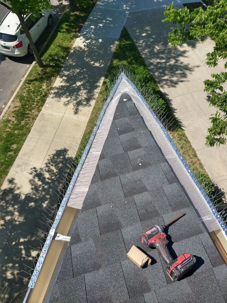 Slide of Balam Roofing Construction