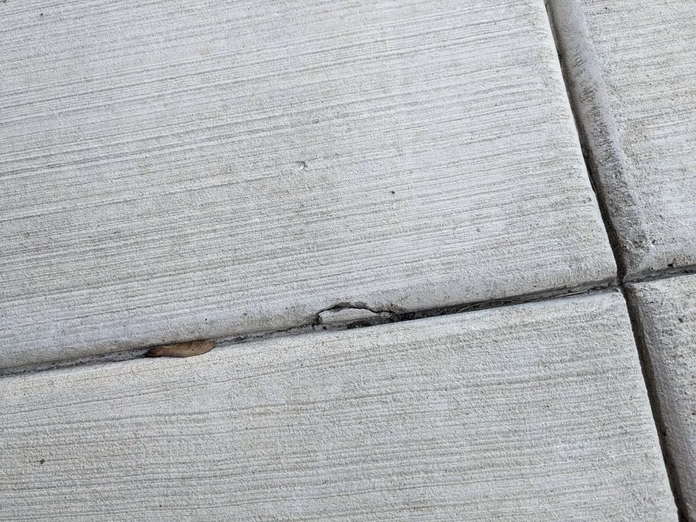 Slide of Bald Eagle Construction