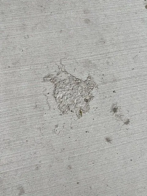 Slide of Bald Eagle Construction