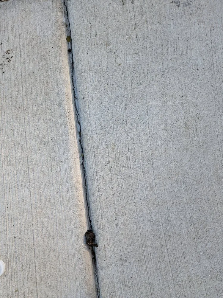 Slide of Bald Eagle Construction