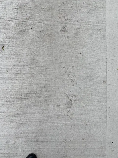 Slide of Bald Eagle Construction