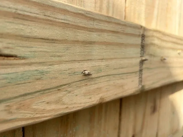 Slide of Baldur Construction TX