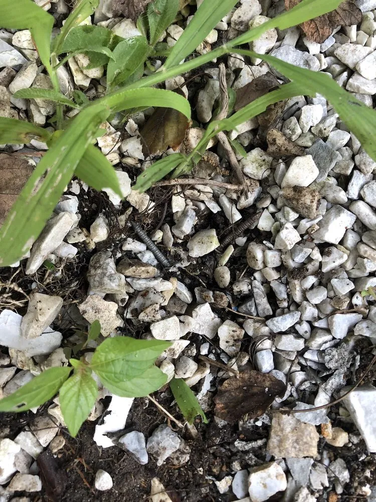 Slide of Balken Roofing