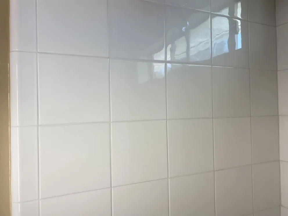 Slide of BAM Restoration