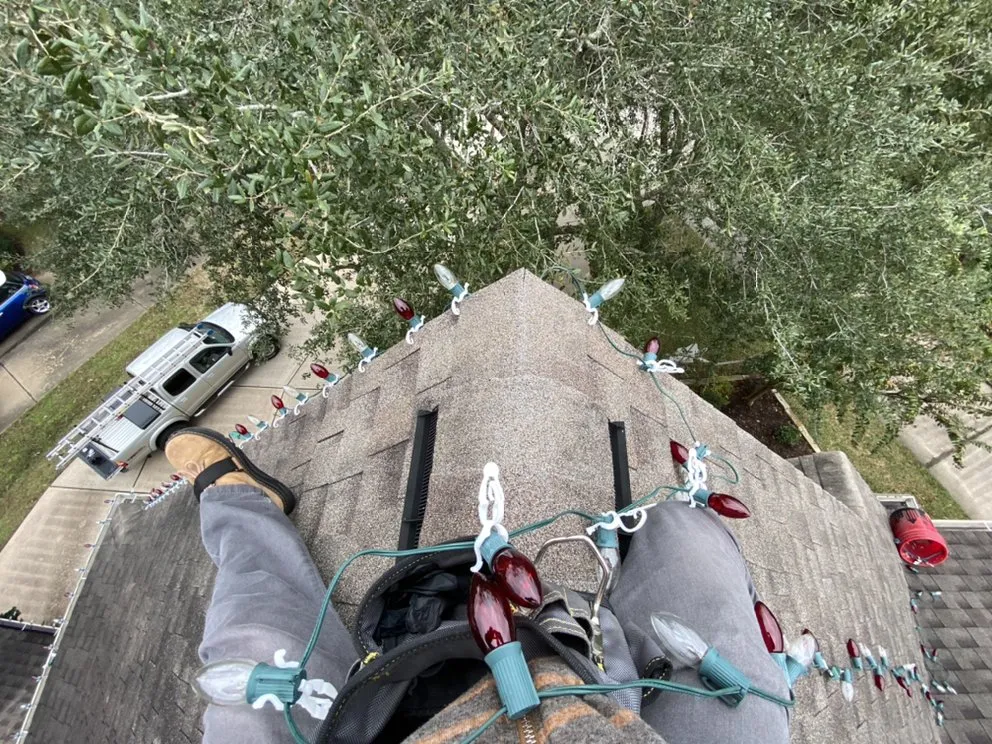 Slide of BAM Restoration