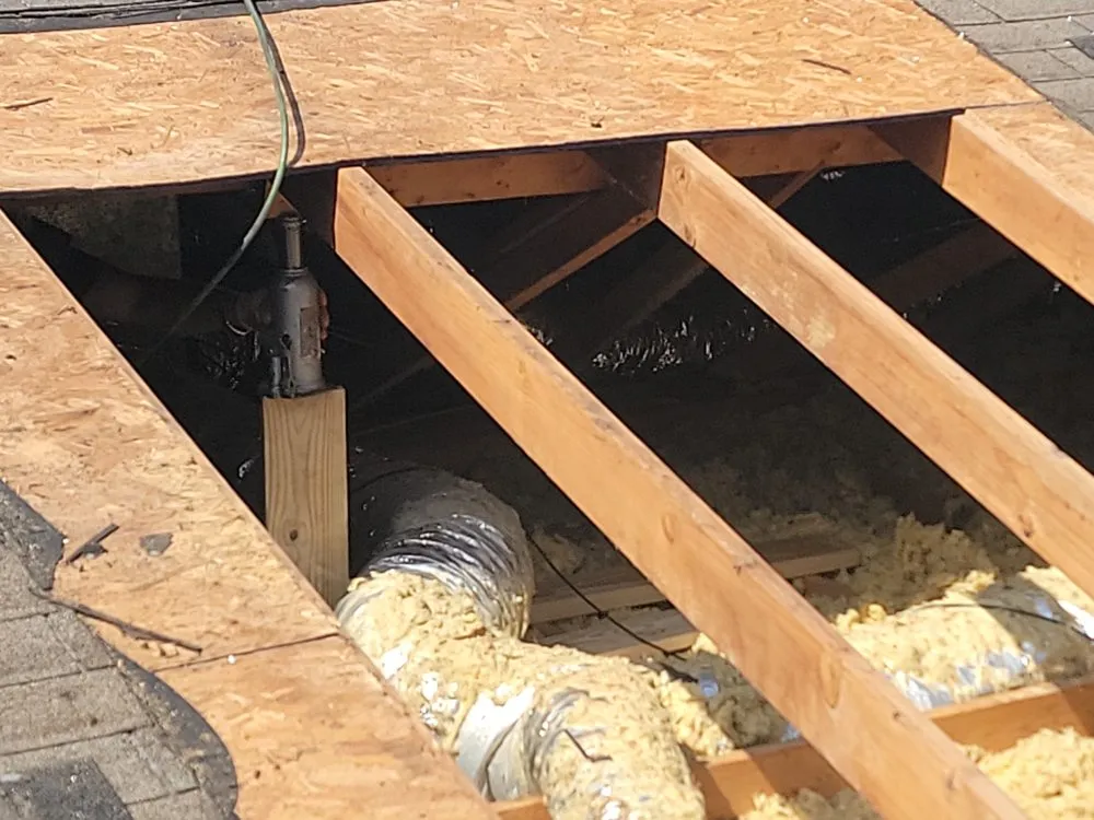 Slide of Banana Roofing