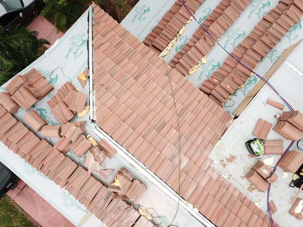 Slide of Bananas Group