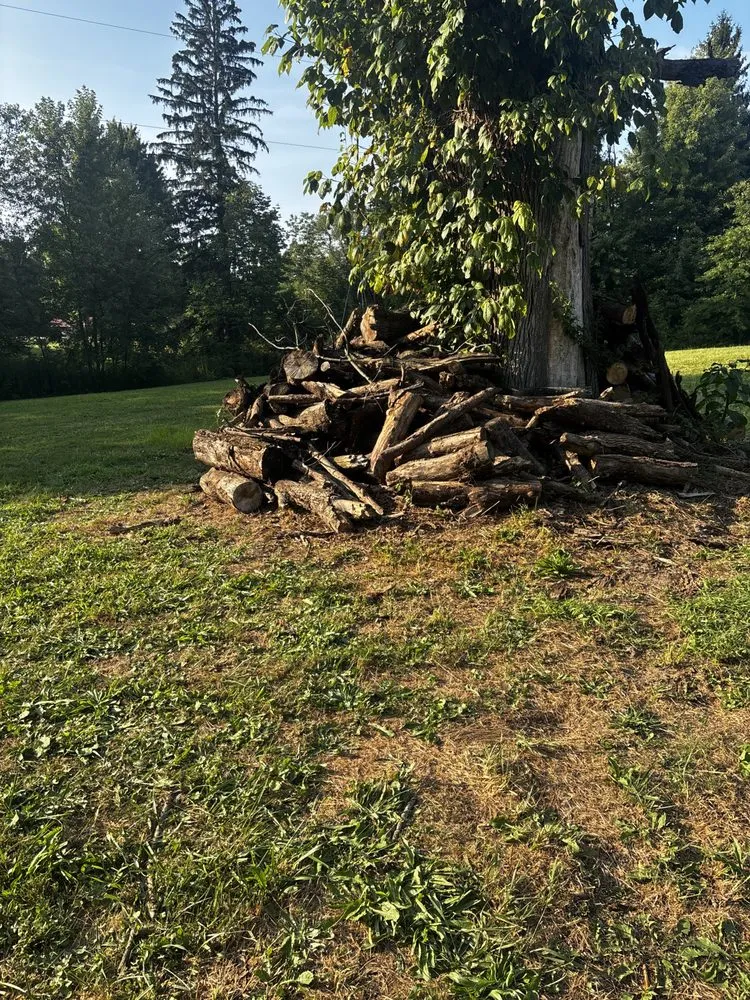 Emergency roof leak repair after storm damage across North Jackson, OH - BandB Handyman And Septic Services