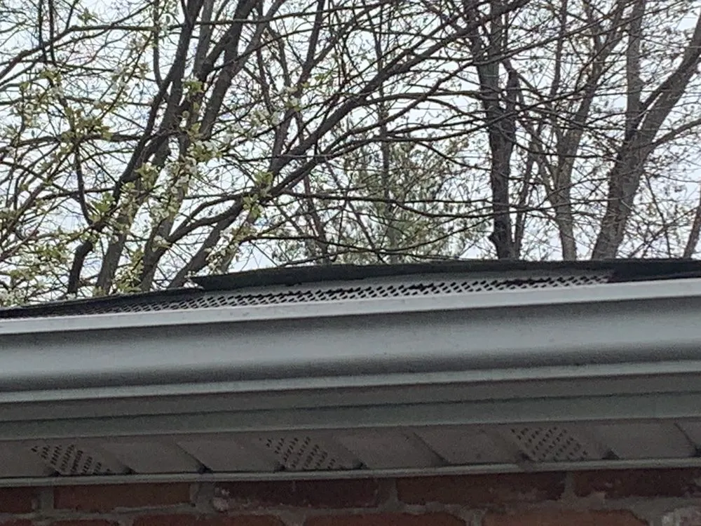 Slide of Banes Roofing