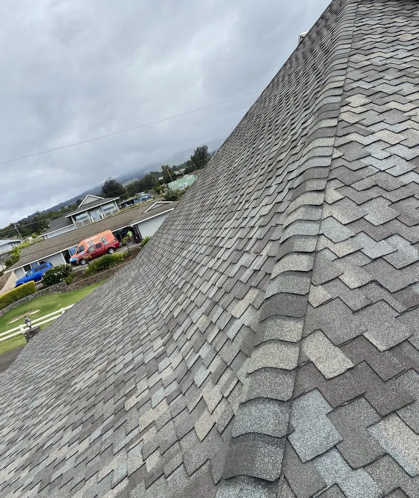 Slide of Bang Um Out Services